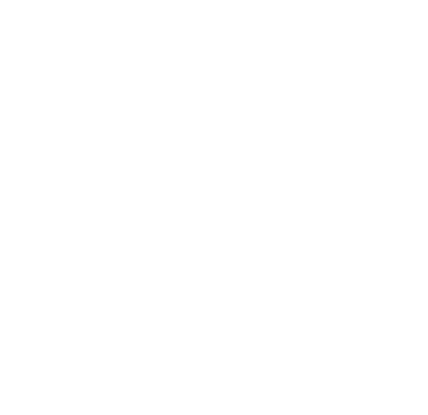 Github logo